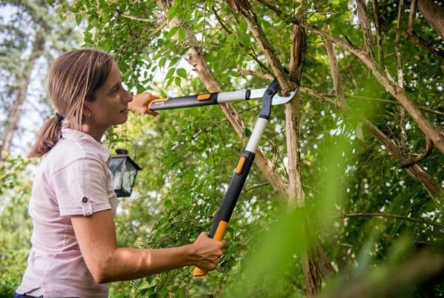 Coupe-branches télescopique FISKARS Smartfit ByPass L86