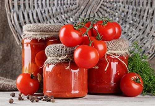 Presse-tomates électrique à courroie et presse-tomates de table TS plast Palumbo 