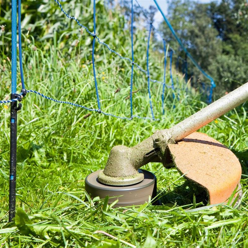 Filet de clôture électrique anti sanglier, rouleau de 50 m.