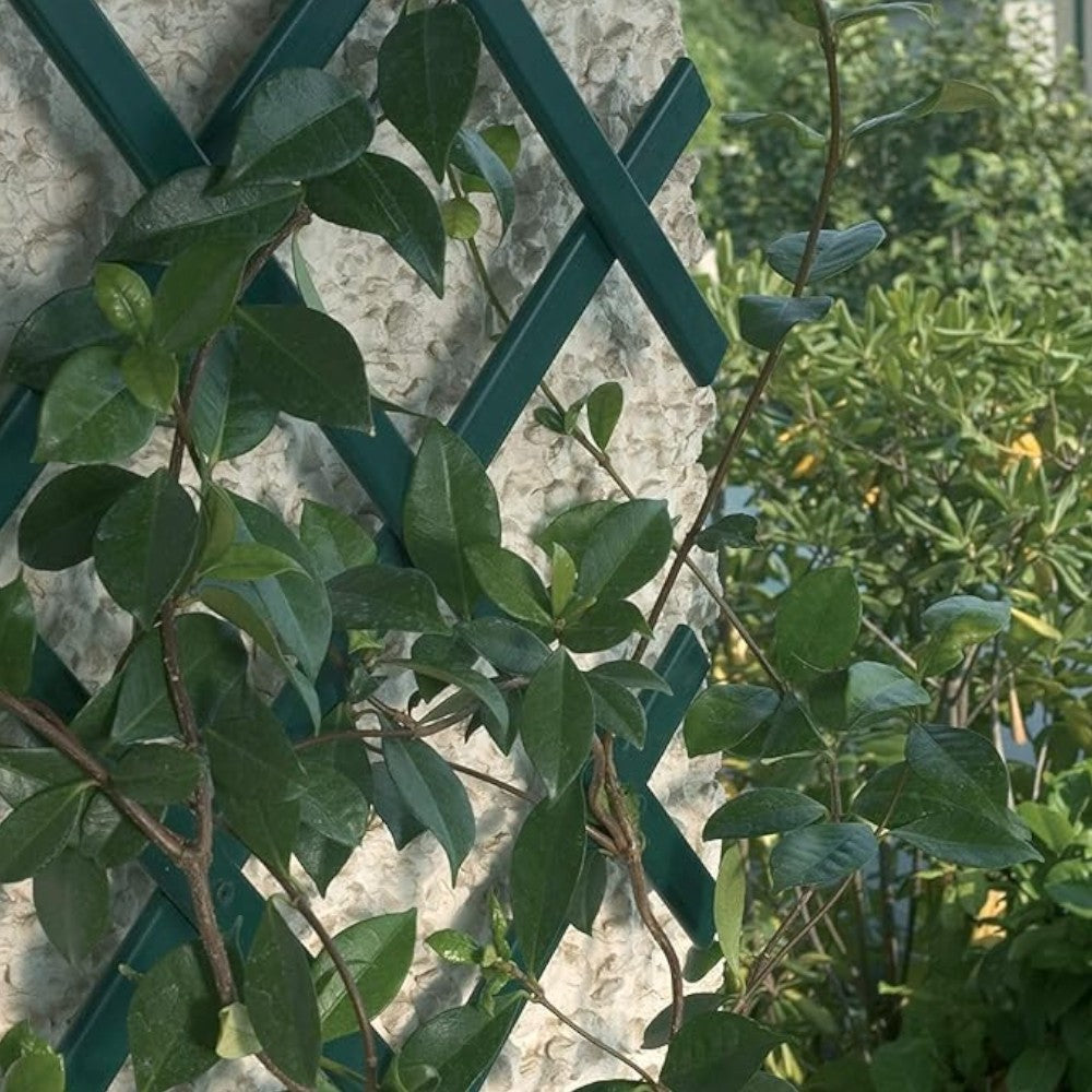 Treillis extensible en résine en bandes pour terrasses et balcons