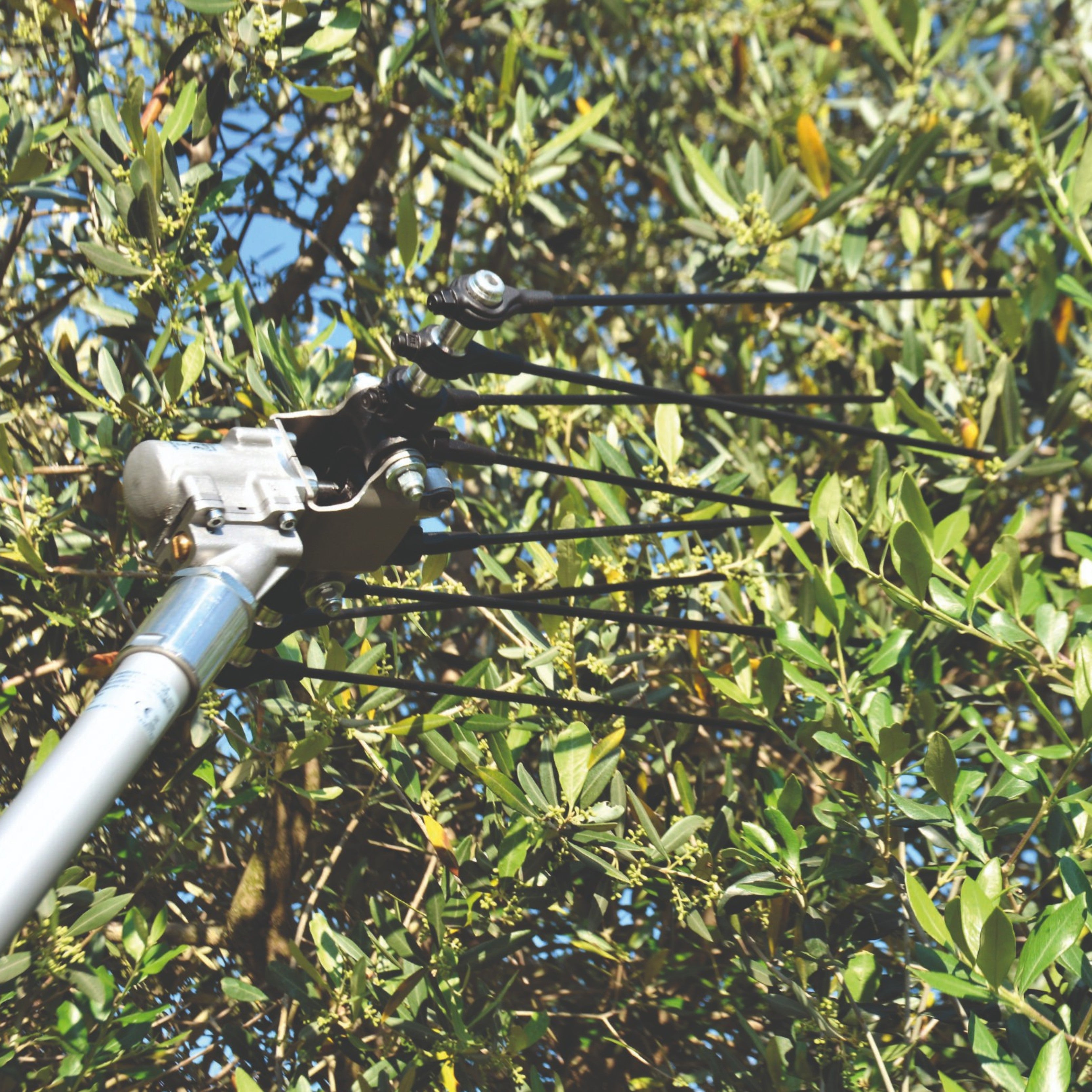 Batteur pneumatique Olivgreen Air 505