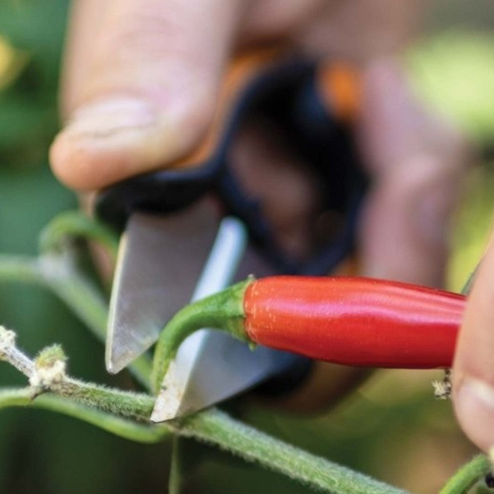 fiskars ciseaux à herbes 'solid sp220' 13 cm