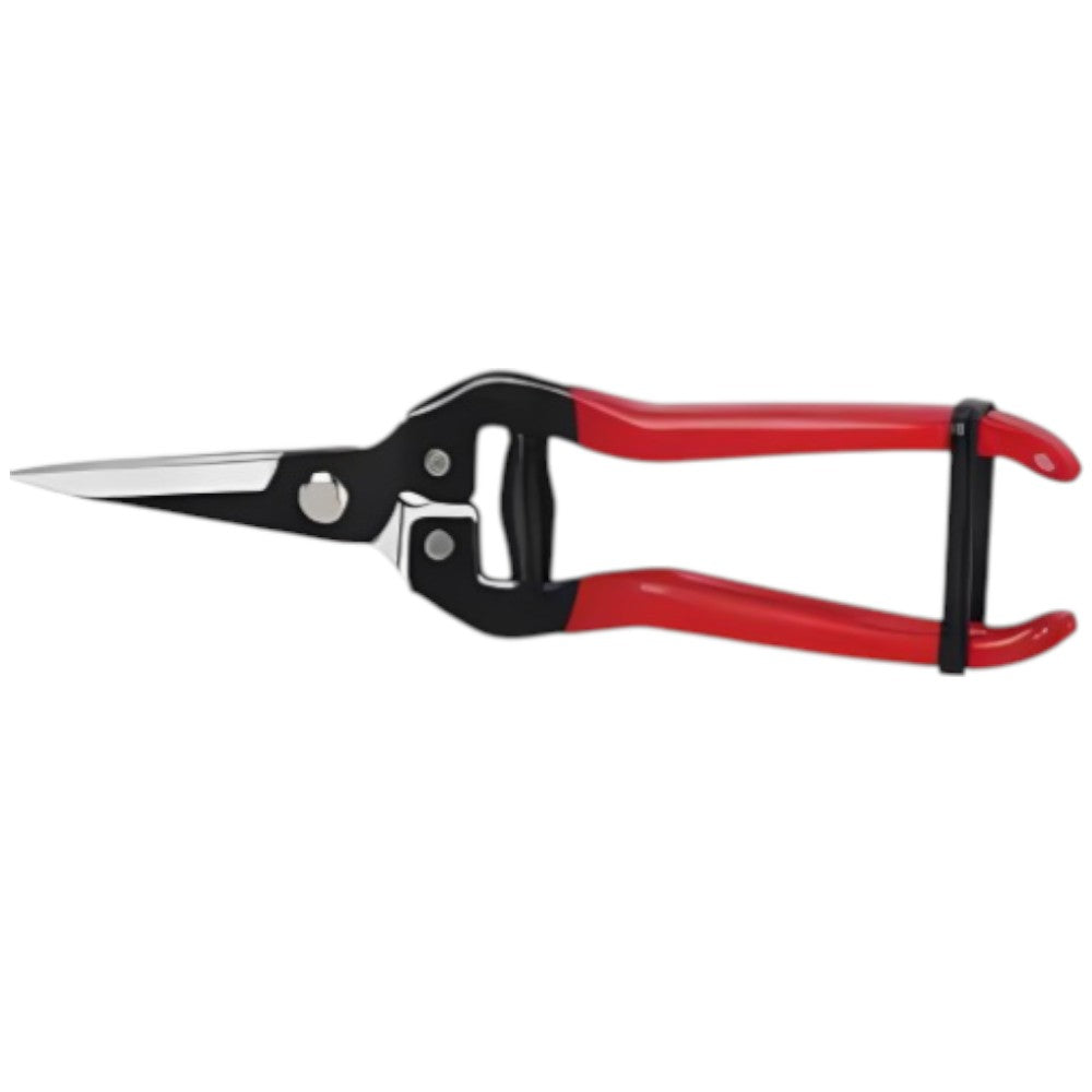 Forbici con lama in acciaio coglifrutta e ortaggi 19 cm