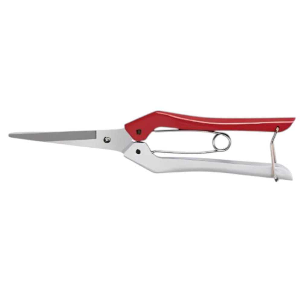 Forbici coglifrutta con lama in acciaio 20 Cm