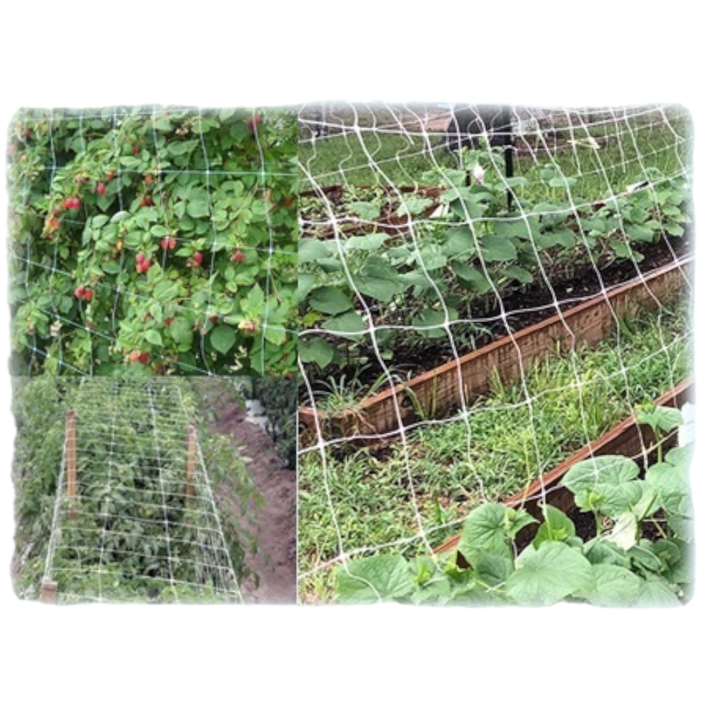Filet de jardinage pour fruits et légumes en polypropylène anti-UV également pour légumes grimpants, rouleau de 30 m Sostengreen