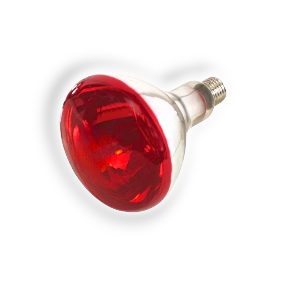 Ampoule infrarouge 150w pour l'élevage et le soin des animaux