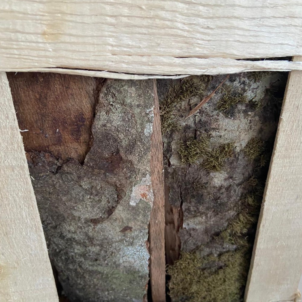 Bois de chauffage divisé en maille