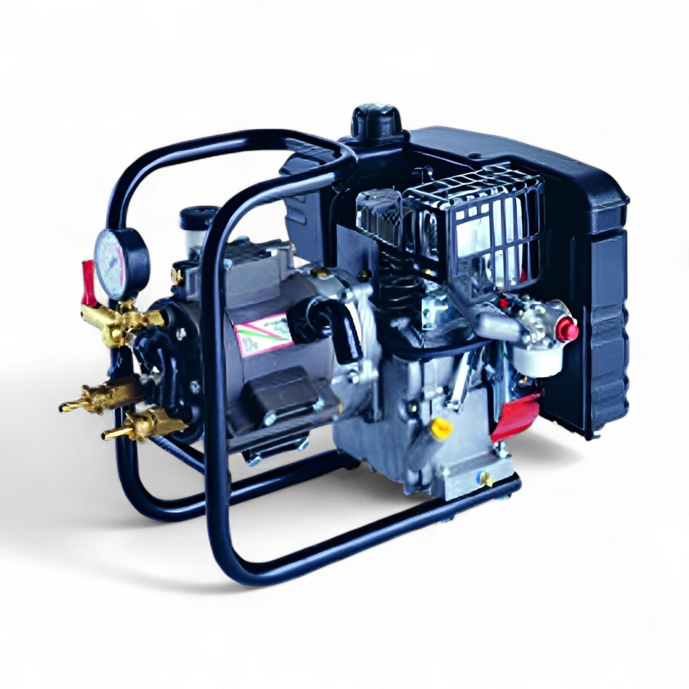 Pompe haute pression DL325 4T, moteur 5 CV avec Support de pulvérisation