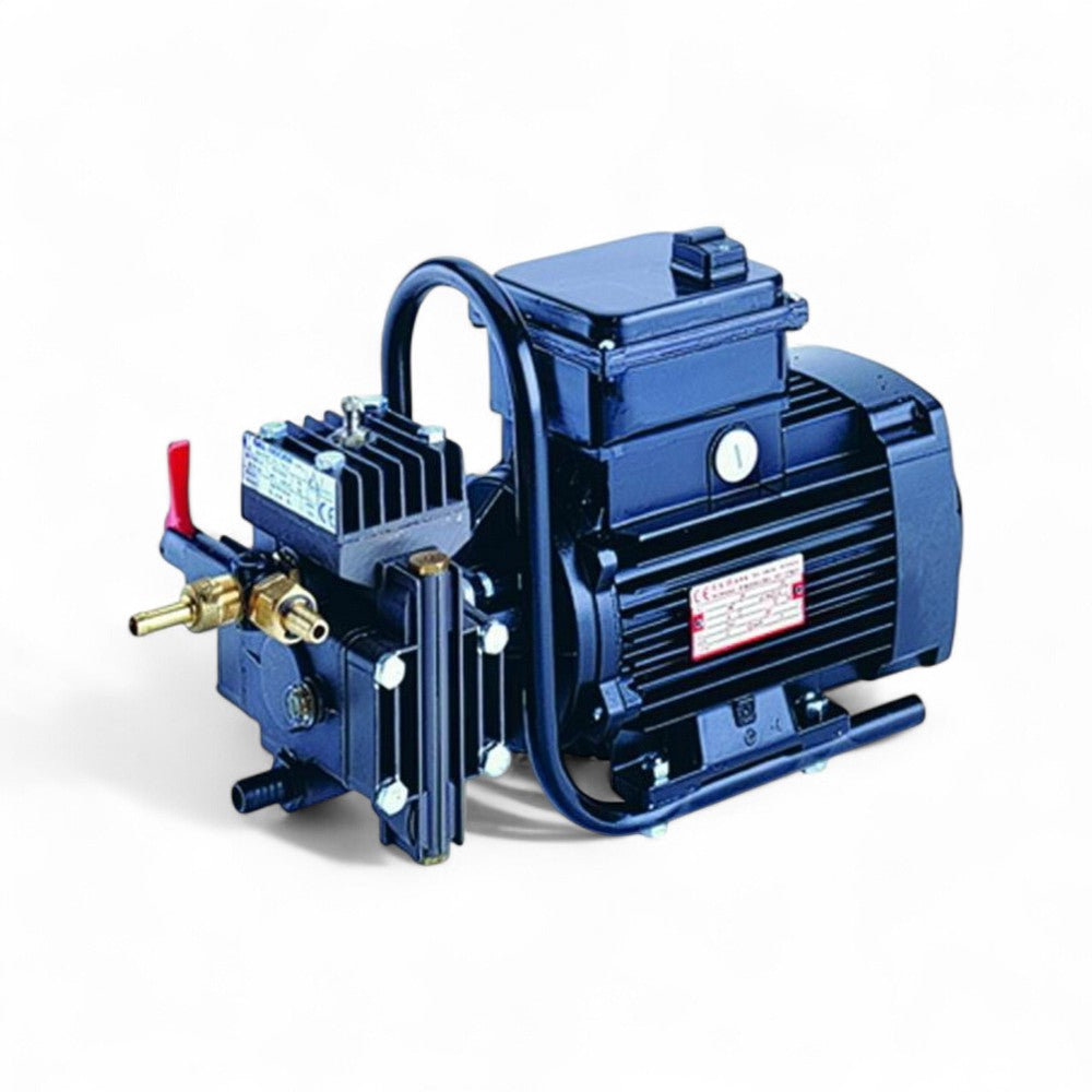 Pompe haute pression DL218 électrique 750W pour pulvérisation