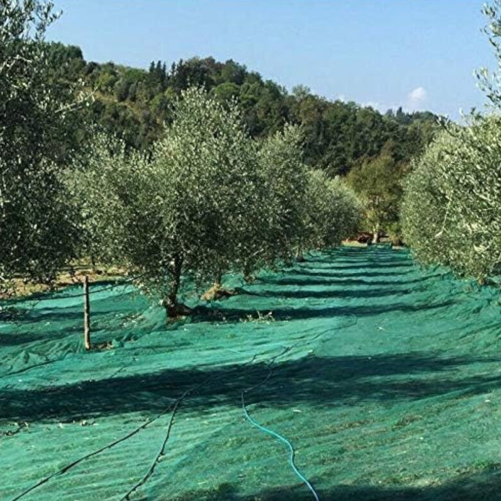 Filet lourd de récolte d'olives anti-épines en feuilles - 3x6 m