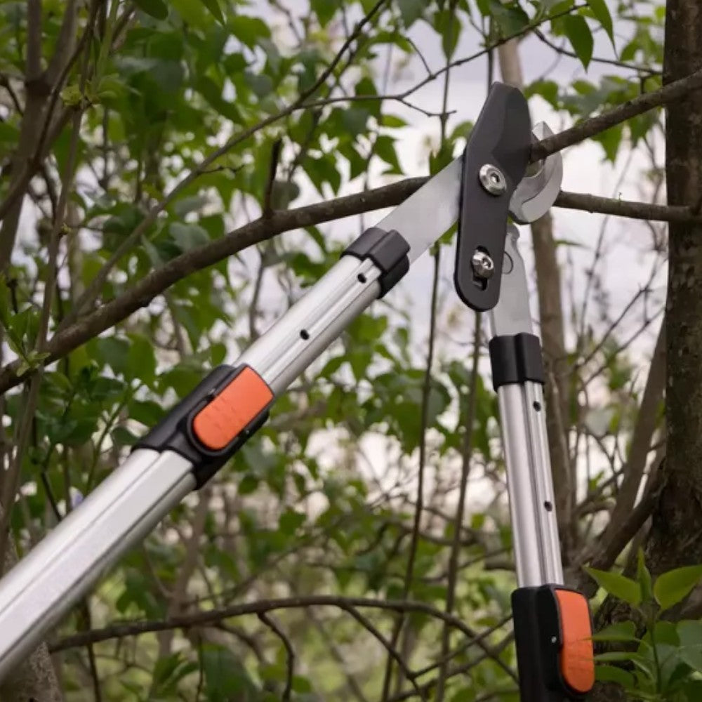 coupe-branches télescopique Ideal Star 65-87 cm