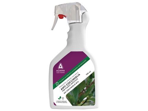 Insetticida spray pronto all'uso per coccinelle flacone 750 ml Kollant Adama